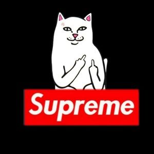 Meet your Posher, Donovan